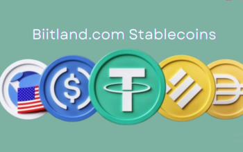 Biitland.com Stablecoins