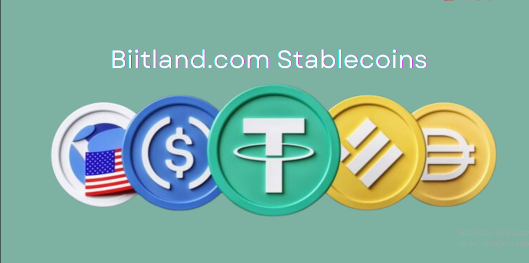 Biitland.com Stablecoins: A Reliable Alternative to Volatile Crypto